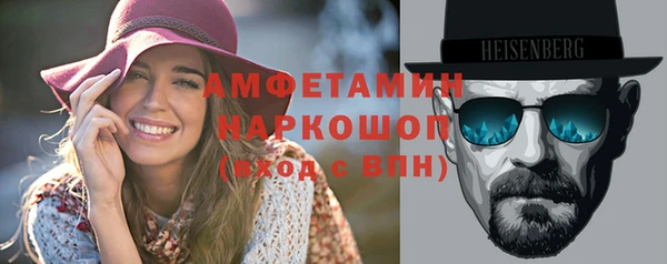 индика Козельск