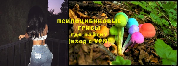 МДПВ Арсеньев